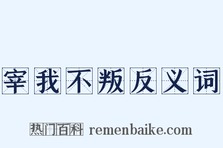 宰我不叛反义词是什么意思的图片